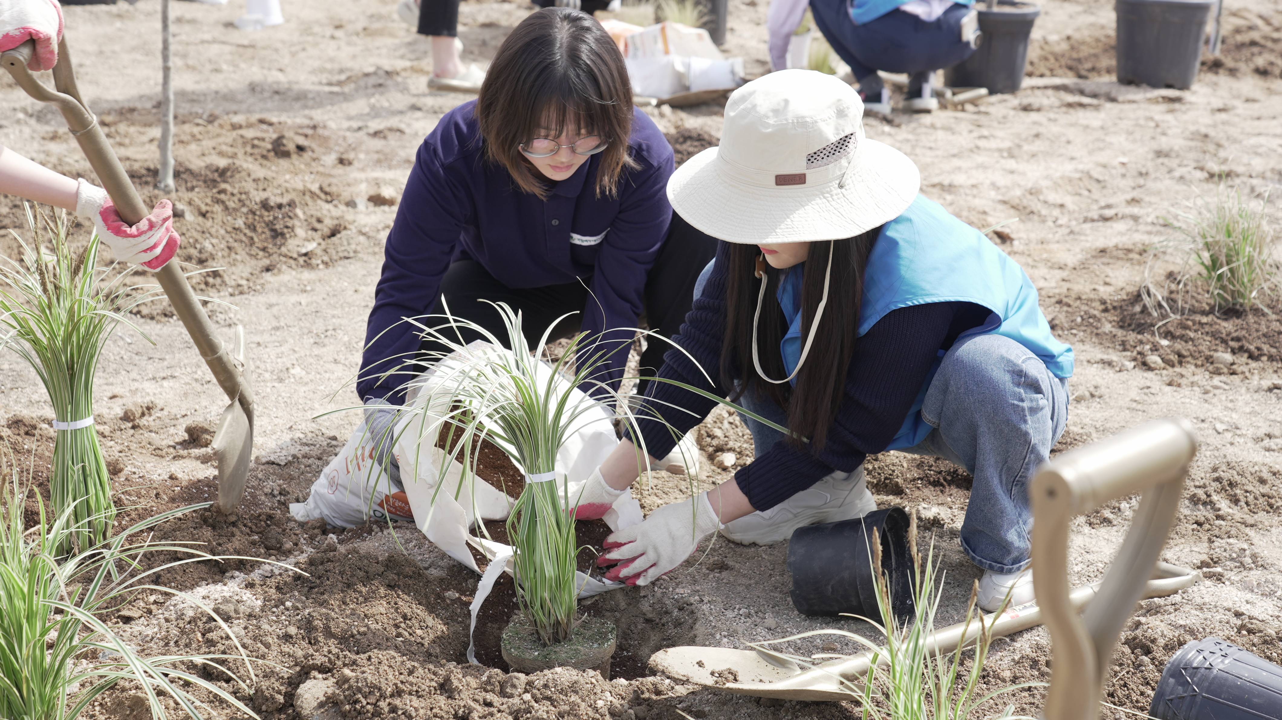 Restoring Degraded Forests