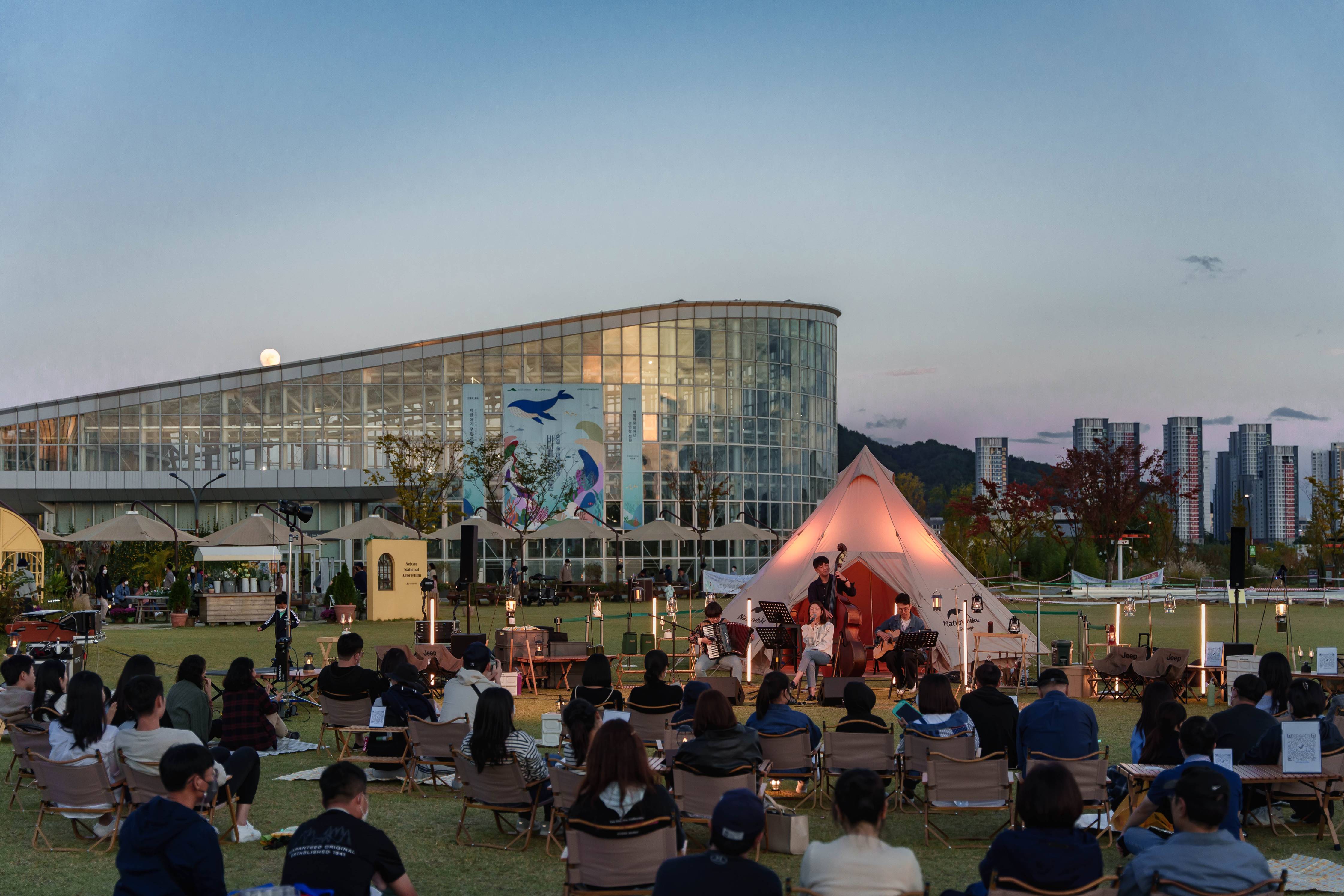 Musical Performance in the Evening
