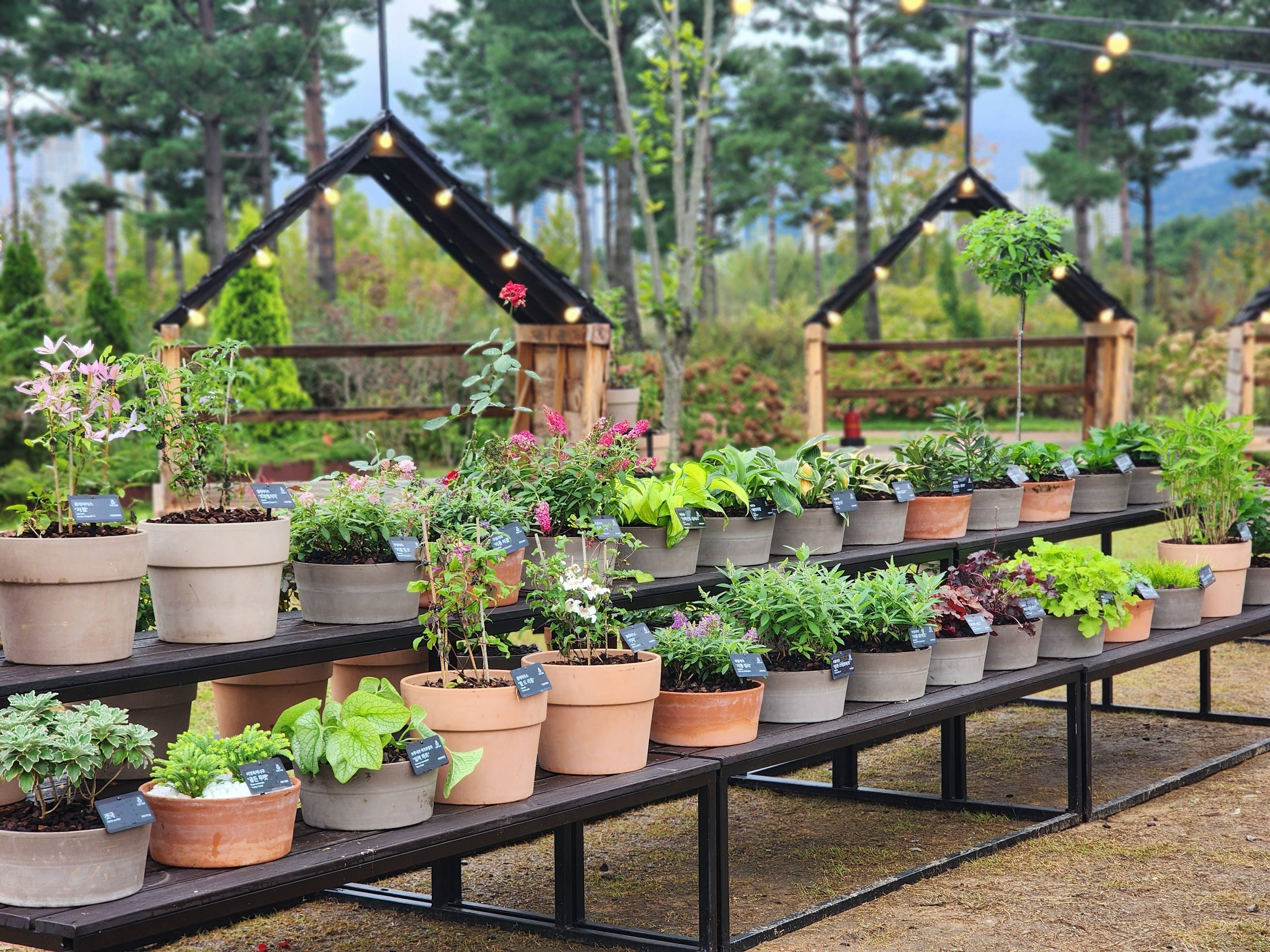 Promoting Garden Materials