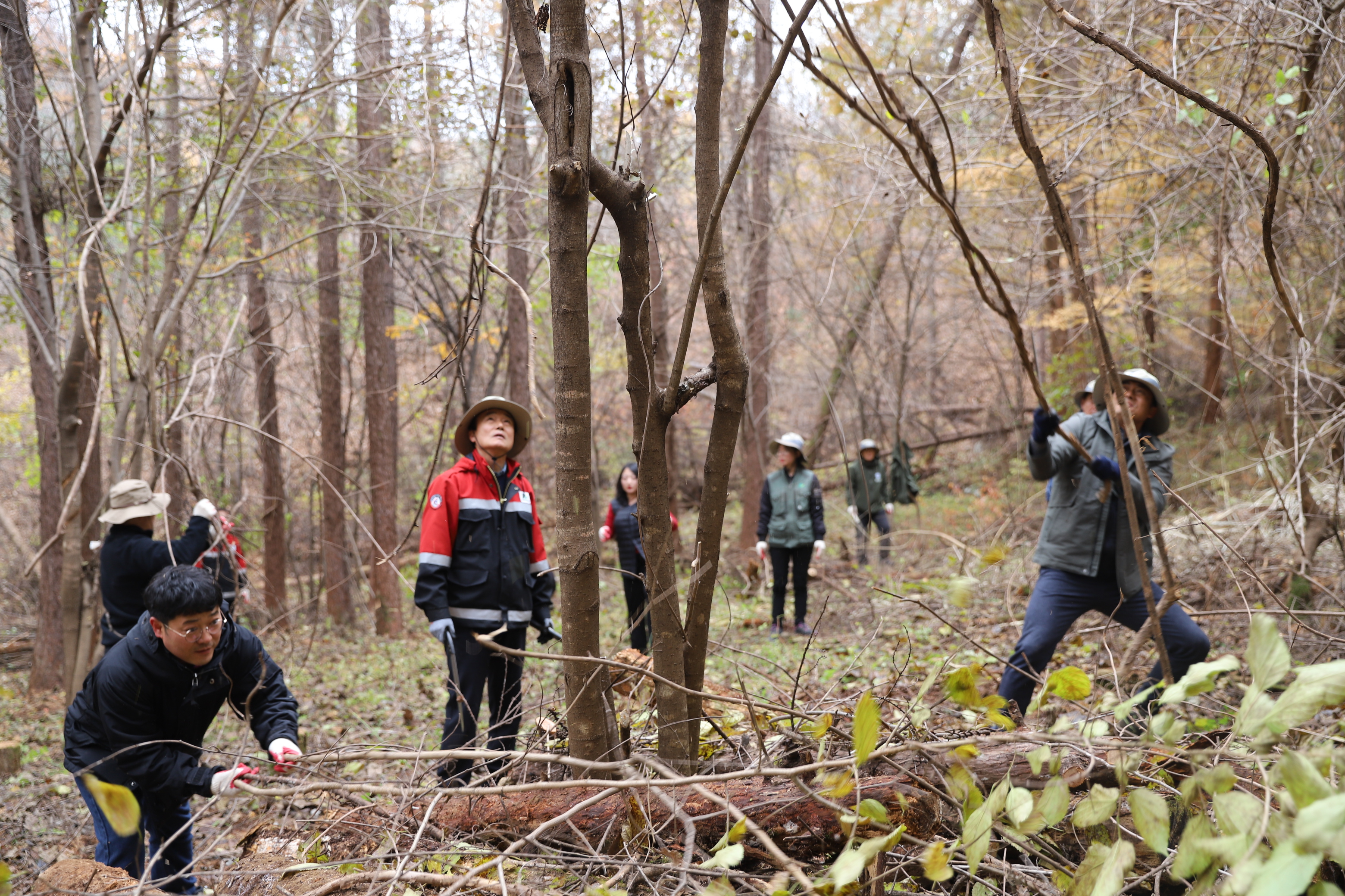 ['19.11.13] 2019 수목원 숲가꾸기 기간<font color=red>행사</font>