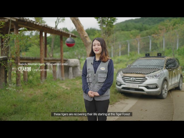 백두대간 썸네일.jpg