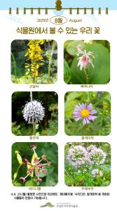 ('25.8.25.)식물원에서 볼 수 있는 우리 꽃.jpg