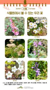 ('25.10.1.)식물원에서 볼 수 있는 우리 꽃.jpg