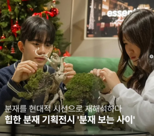 힙한 분재 기획전시 '분재 보는 사이'
