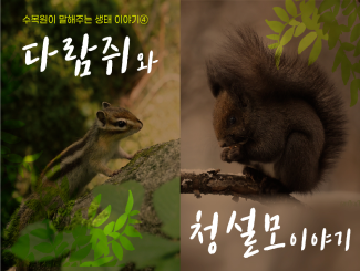 생태이야기 ④ 다람쥐와 청설모 이야기_썸네일.png