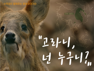 생태이야기 ⑤ 고라니%2C 넌 누구니_썸네일.png